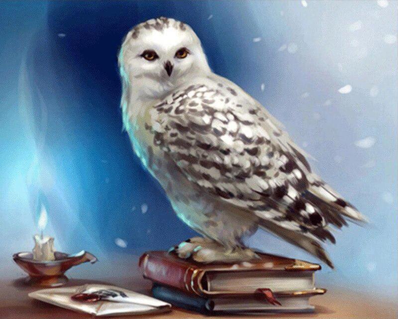 5D DIY Алмазная картина Клан волка Девушка Полный квадратный круглый набор для вышивки крестом Алмазная вышивка Сад Уличный пейзаж Мозаика Ручная работа Домашний декор