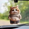 Толстый Кот Собака Автомобиль Зеркало Заднего Вида Украшение Автомобильная Подвеска Автомобильное Подвесное Зеркало