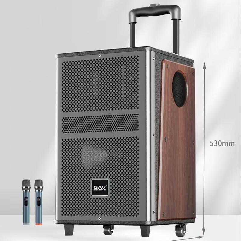 GAV K812 12-inch Outdoor Mobile Bluetooth Trolley Speaker with Dual Microphones
