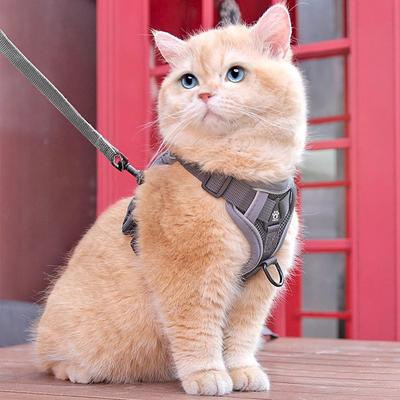 Новый поводок и шлейка для кошки, шлейка от побега для кошки, шлейка для котенка, ремешок, шлейка для кошек, полоска