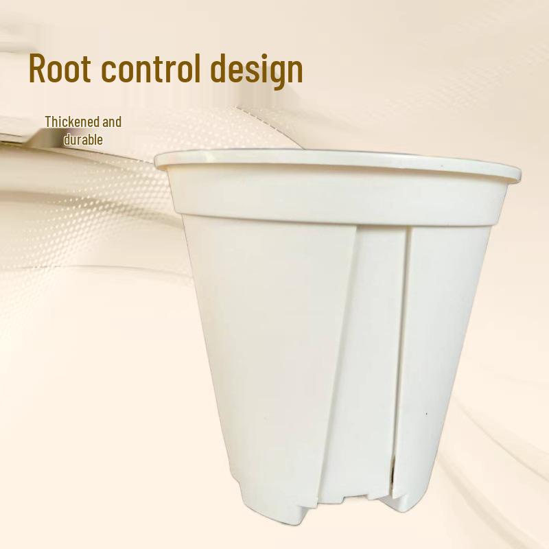 White Green Breathable Root Control Orchid & Succulent Pot with Side Hole Drainage