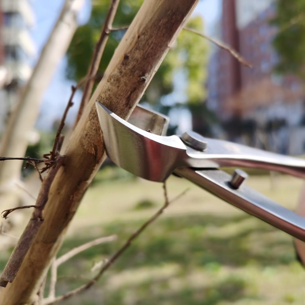 Инструмент для обрезки бонсай, ножницы для корней из высокопрочной нержавеющей стали, шаровой шарнир, плоскогубцы для обрезки ветвей, инструмент для цветника