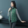 Зимний женский пуховый хлопковый жилет с воротником-стойкой, хлопковый жилет, короткий жилет