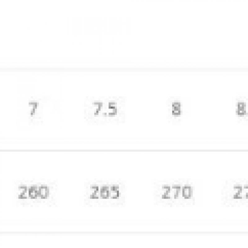 Puma Кроссовки Public Spring Roma Кроссовки Roma Og Nylon 362408 01 45 46