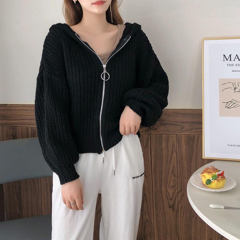 Осенне-зимний кардиган с капюшоном, короткий, утолщенный, верхняя одежда, простая и удобная женская куртка на молнии с длинным рукавом 6206