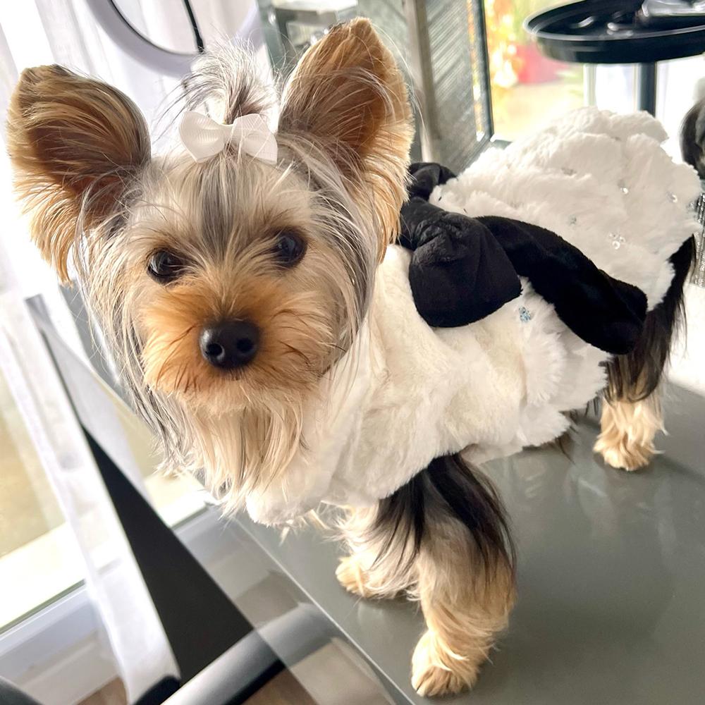 Одежда для домашних животных Элегантное роскошное зимнее пальто с мехом для собак, свитер для маленьких средних кошек, одежда с бантом, модная зимняя куртка для щенков, комбинезон для котенка