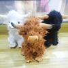Simulation Highland Cow Scottish Highland Cow Plush Doll Long Hair Cow Doll