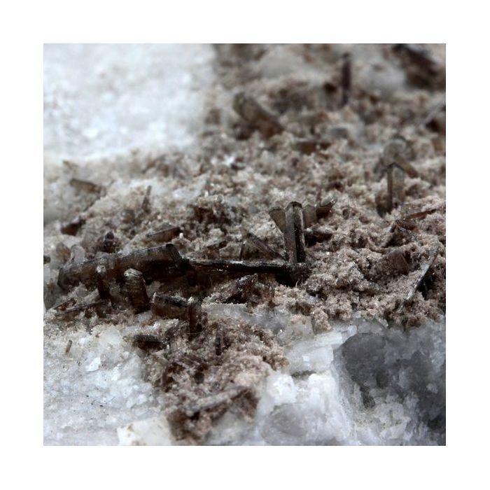 Allanite, Dolomite 363.8 carats