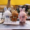 Ins Girl Heart Cute Super Cute Little Rabbit Подвеска Плюшевая кукла Медведь Сумка Подвесной брелок для женщин