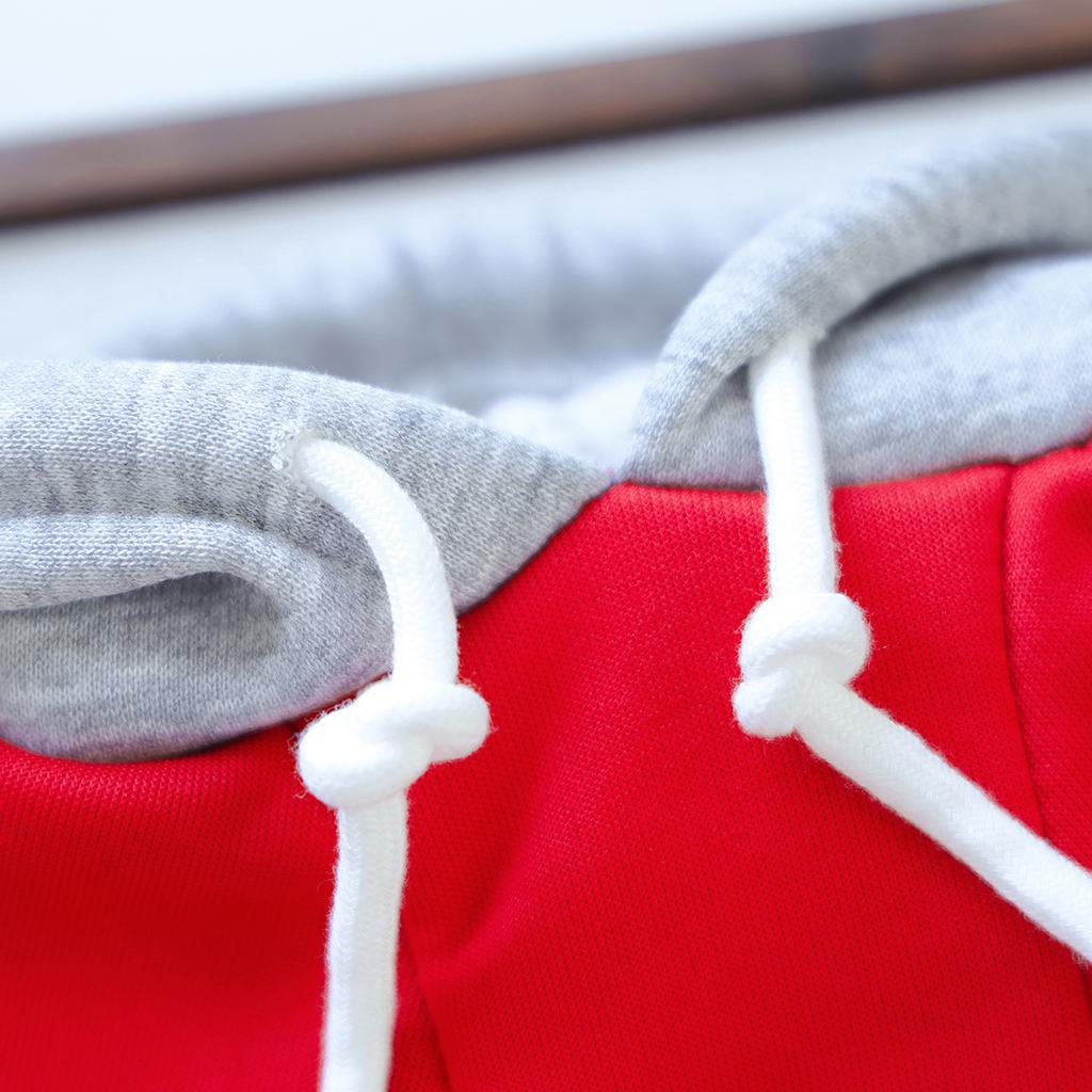 2026 Autumn Winter New Simple Solid Color Hooded Sweatshirt Small Puppy Warm Pet Apparel