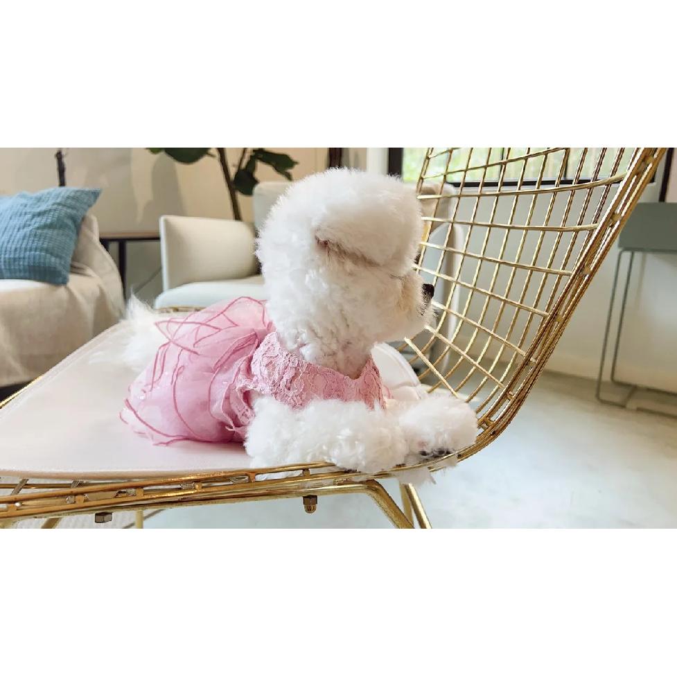 Spring and Summer Light and Cool Breathable Pink Jacquard Delicate Lace Dress Kitten Small Dog Spring and Summer Clothes