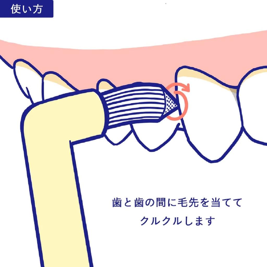 Tuft Dental Oral Care Peachure M Assortment of [One Brush] (Medium) [Set 24]