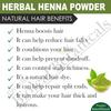 Bioleaf Botanicals Травяная Хна Мехенди Порошок | 100% Чистый и Натуральный | Для Окрашивания, Кондиционирования и Блеска Волос | С Аюрведическими Травами | Химический-