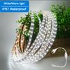 220V Waterproof LED Strip Light High Brightness 5M 10M 20M For Home Decoration Kitchen Outdoor Garden LED Light With EU Plug