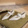 29813 [sheepskin] Flat Shoes Women's Thick Heel Summer 2025 New Pointed One-word with Mary Jane Single Shoes