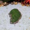 Artificial Mosses Rock, Desktop Ornament Craft Decorative, Fake Fresh Green Covered Stone for