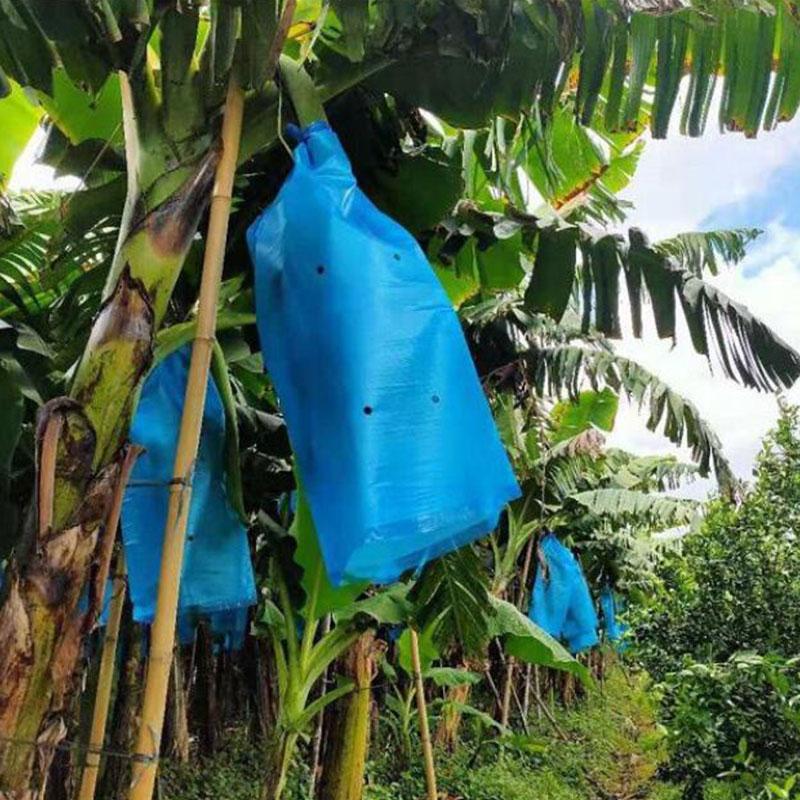 5/10/15 шт. Защитный мешок для бананов, защитные пакеты для фруктов с отверстием от холода и насекомых, защитный чехол для грозди бананов