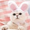 For Cats & Small Dogs With Ears Cosplay Cat Headwear Pet Accessory Cat Costume Rabbit Hat