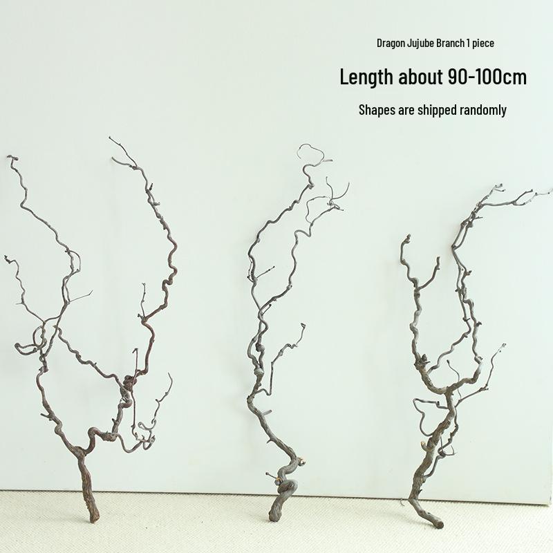 Изогнутые ветки зизифуса (ююбы) для ваби-саби икебаны и дзен-искусства