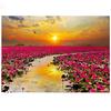 Алмазная картина Цветочное поле Пейзаж Полный круглый Алмазная вышивка Лотос Море Вышивка крестом Кристалл