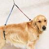 Регулируемая петля для груминга питомцев, собак, кошек, стол, поводок для груминга, D-кольца, ремень для купания, тяговой ремень, ошейник для собак, шлейка