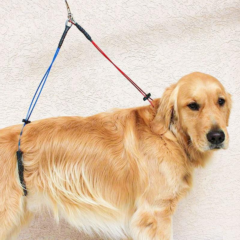 Регулируемая петля для груминга питомцев, собак, кошек, стол, поводок для груминга, D-кольца, ремень для купания, тяговой ремень, ошейник для собак, шлейка