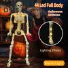 Halloween Skeleton Decoration Realistic Human Bone Structure Model Plastic Jointed Skeleton Statue for Yard Garden Haunted House