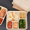 Dalu Corn Starch Double Compartment Disposable Meal Box