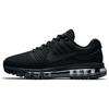 Air Max 2017 'Triple Black' Мужские 849559-004