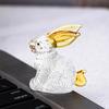 Yousheng Faux Crystal Rabbit Figurine Transparent Collectible Rabbit Statue Glass Art Animal Ornament Bunny Sculpture for Home Office Desk Car