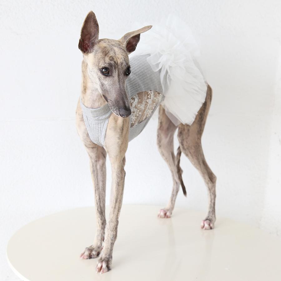 Moonlight Waltz Tulle Dress For Italian Greyhound & Whippet, Cute Fluffy Princess Skirt Pet Clothes For Dogs