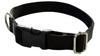 Dog Collar 2 cm with Buckle Adjustable Black Fasten Dog Collar 2 cm with Buckle Adjustable Black Fasten XL: 50-75cm