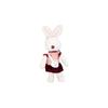 Plush Doudou Rabbit Shaïma + Book "I Learn My Religion Islam with the Arnoube Family"