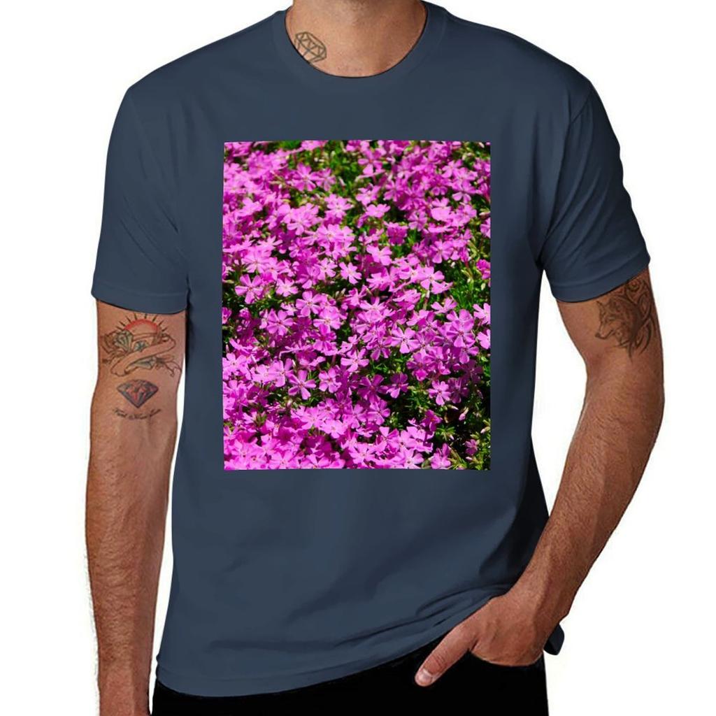 Creeping Phlox Tshirt T Shirts For Unisex Cotton Funny Tshirt