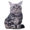 1 шт., 50 см, 3D имитация кошки, подушка с милыми животными, моющиеся плюшевые детские игрушки, диванные подушки, украшение дома, кавайный декор комнаты