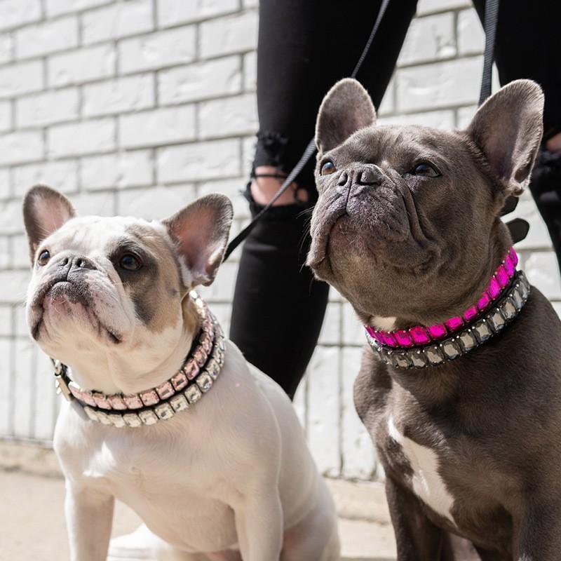 Luxury Rhinestone PU Leather Adjustable Pet Collar Dogs Cats Fashion Jewelry All Sizes