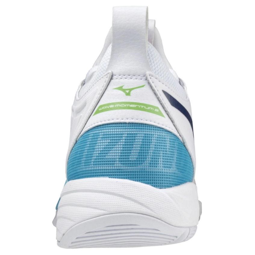 Mizuno Wave Momentum 2 'Белый Синий' V1GA211114