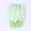 Natural Goose Feather 10-15cm Colorful Feather for Crafts DIY Jewelry Headress Carnival Dream Catcher Plumes Decor