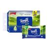 Tempo Aloe Portable Wet Wipes, 40 Sheets, 12 Packs
