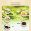 Shilang Ginger Anti-Dandruff & Repair Shampoo