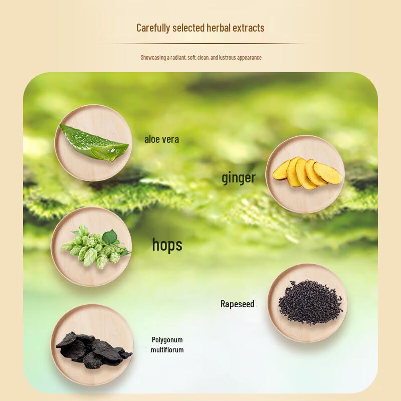 Shilang Ginger Anti-Dandruff & Repair Shampoo