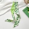 Long Silk Scarf, High-end New Versatile Hair Tie Streamer, Atmosphere Ribbon, Spring and Summer Decorative Scarf, Tied Bag Streamer