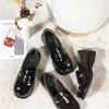Black Thick Heel Platform College Uniform Small Leather Shoes Women's New Autumn Bright Mary Jane Shoes Small Loafers