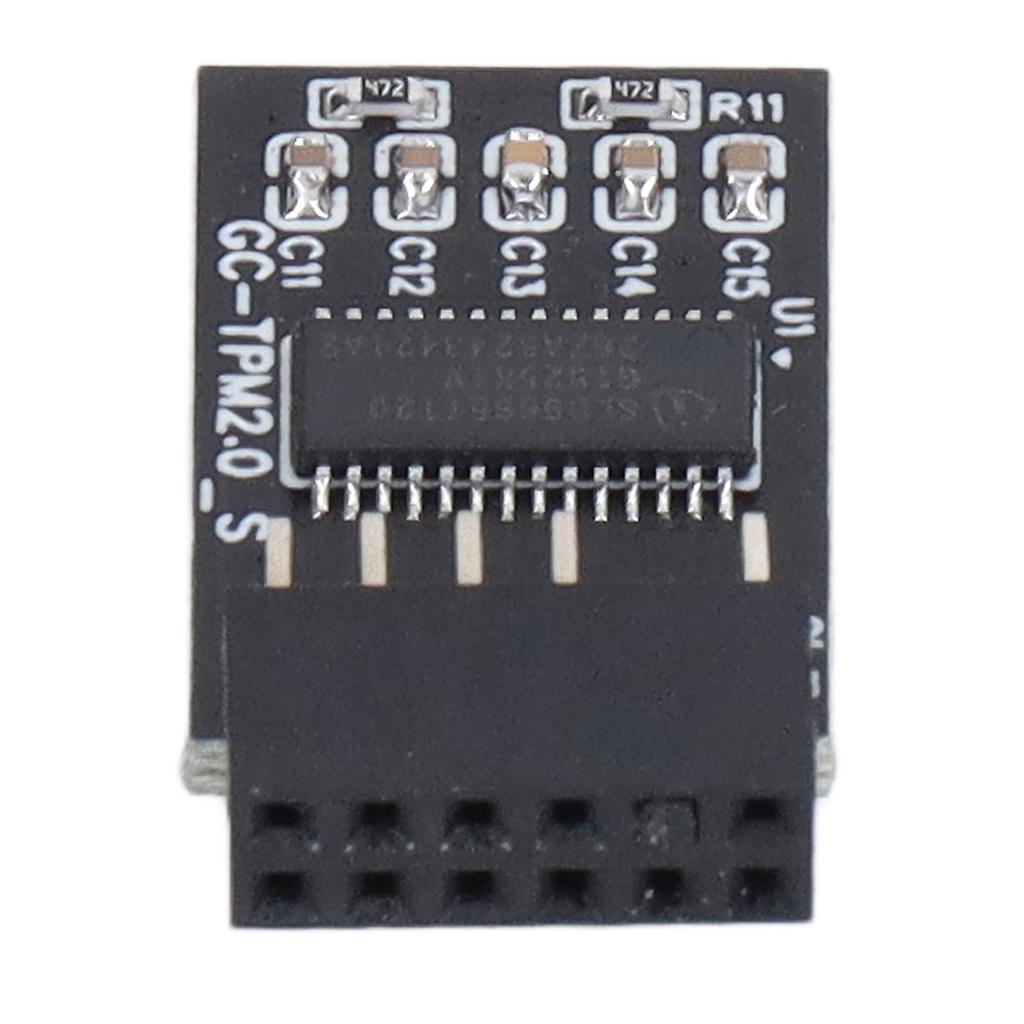 Модуль TPM 2.0 LPC SPI 12Pin Remote Card Encryption Security Board Аксессуар для GIGABYTE