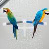 PVC Bird Bath Shower Bathing Perch Stand with Suction Cup for Parrot Macaw