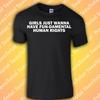 Girls Just Want To Have Fundamental Human Rights T-Shirt | Feminism
