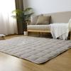 BestOnePlus TEIJIN Padding Winter 130x190 Tatami Construction with Aluminum Floral Photocatalytic Compatible with Floor Heating and Hot Fully Greige