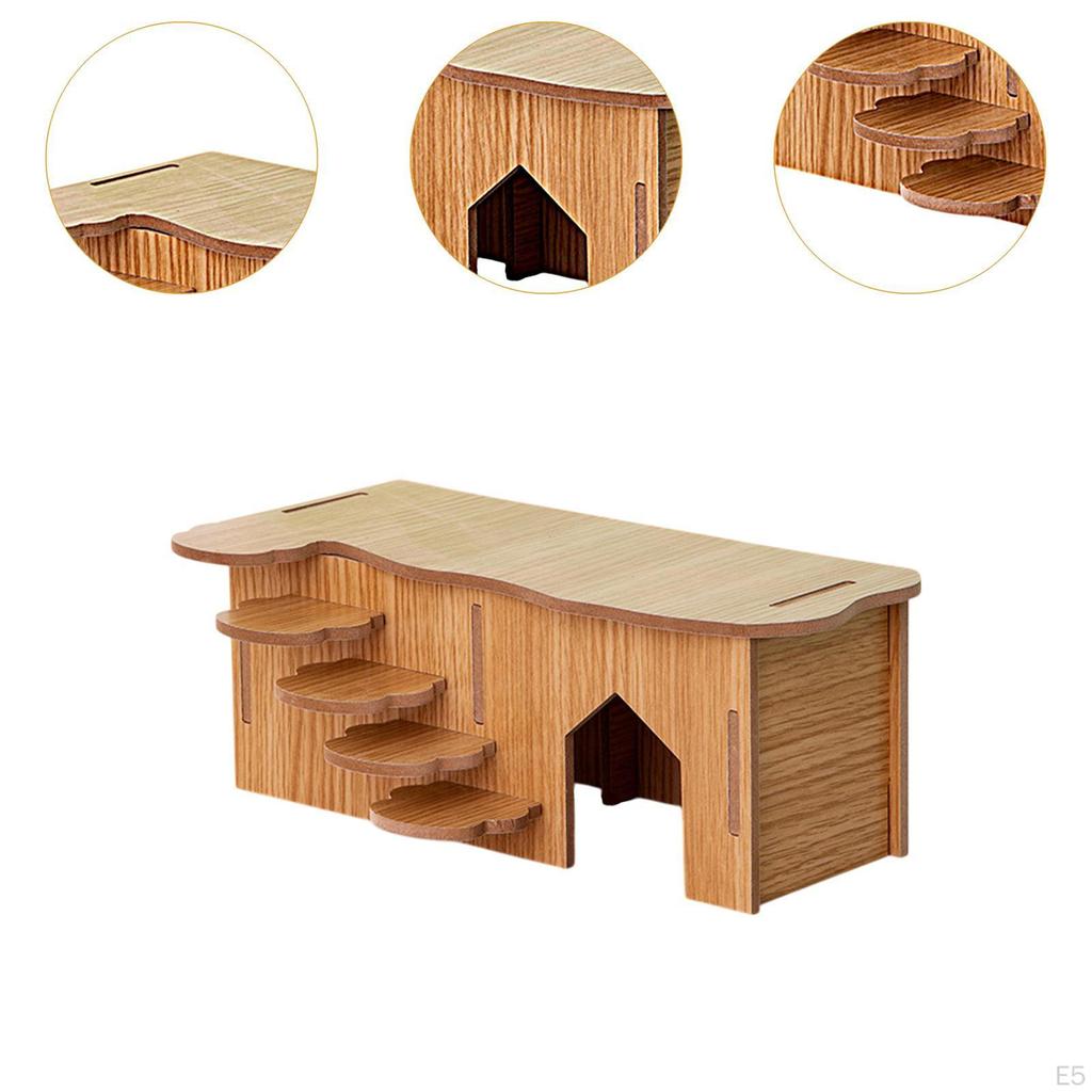 Hamster Habitat with Climbing Structure for Small Animals