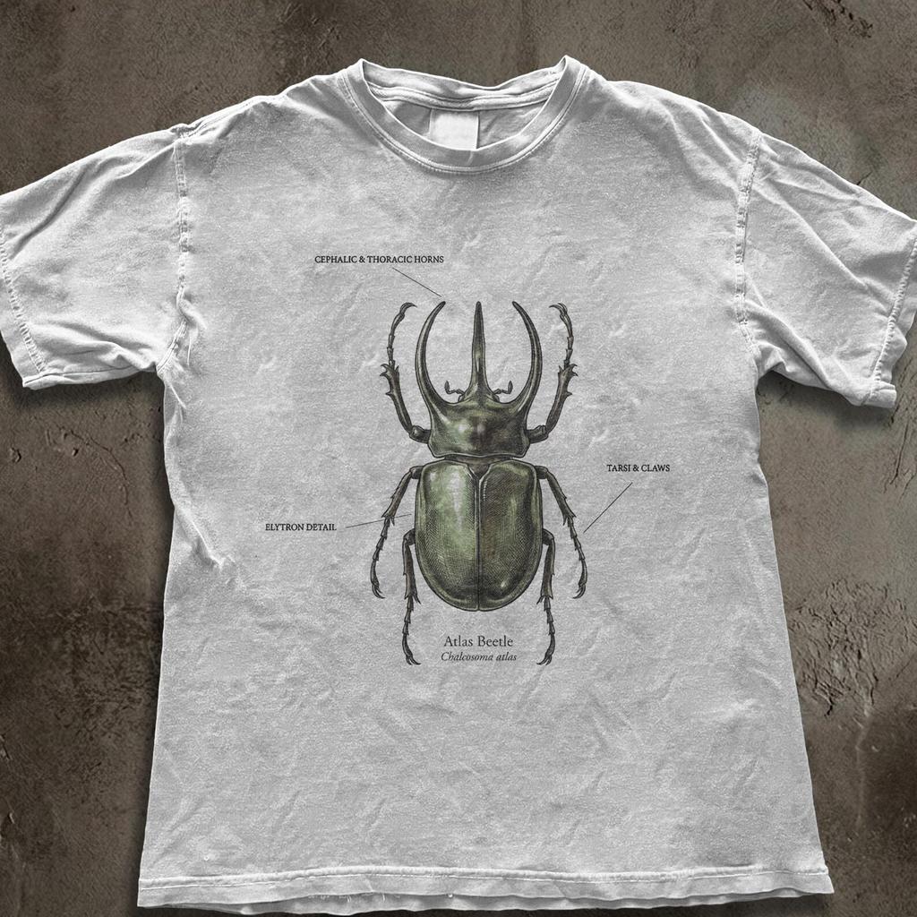 Green Stag Beetle Illustration T-Shirt | Entomology Art Tee