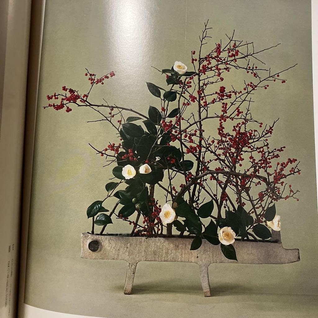 [Б/У] Ryuseiha Цветы Весны Фотоколлекция